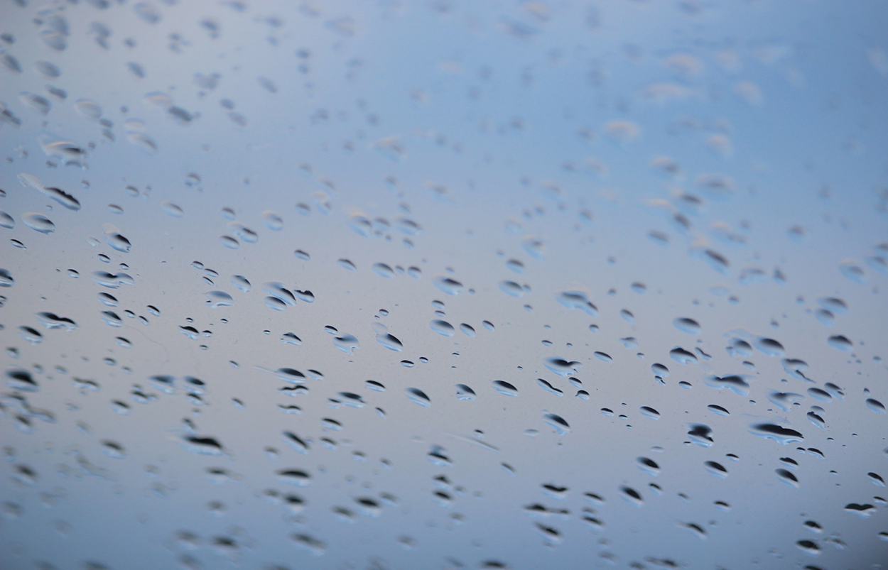 Don’t Forget to Squeegee the Shower